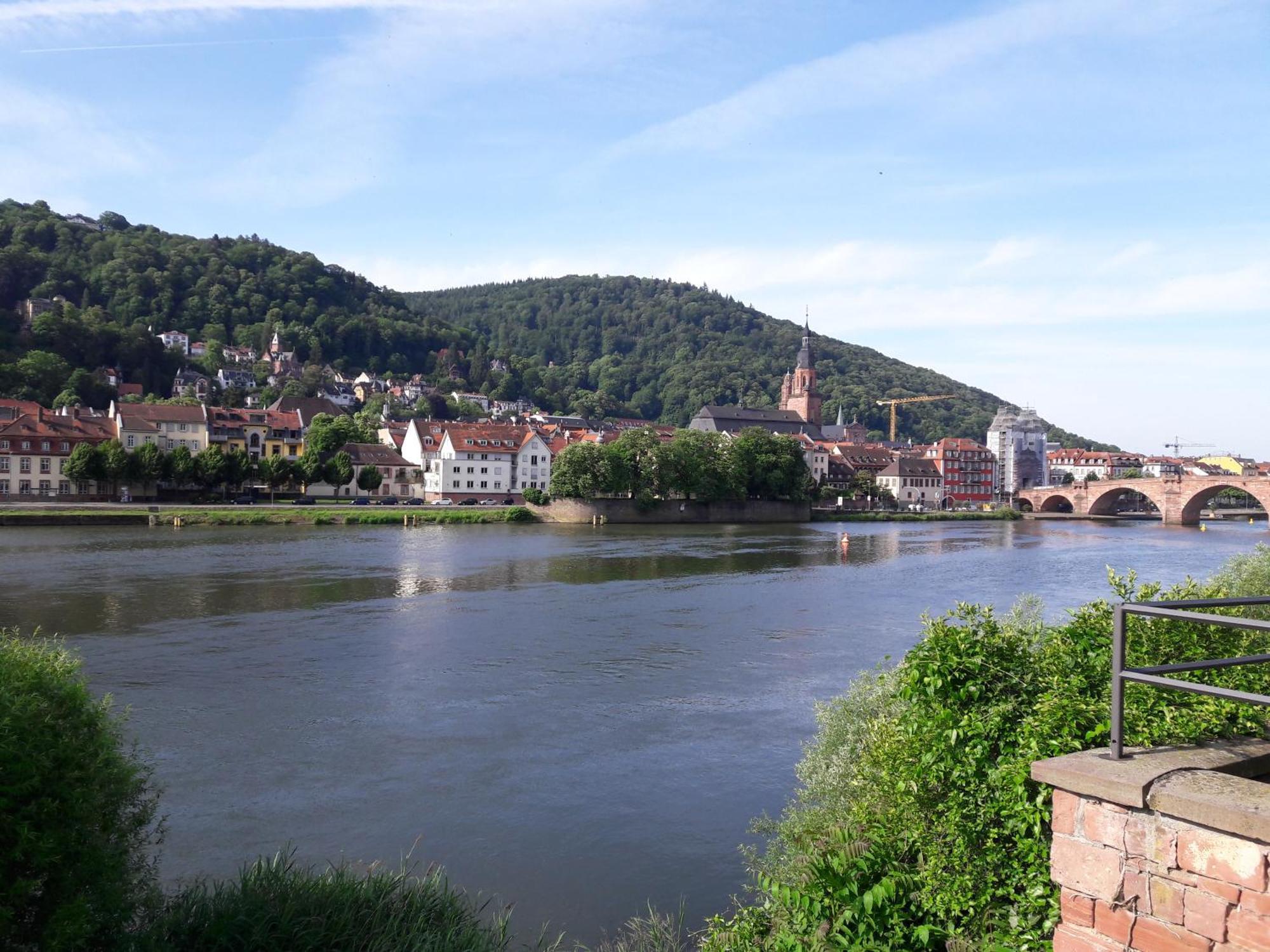 Ferienwohnung Neckarblick Хайдельберг Экстерьер фото