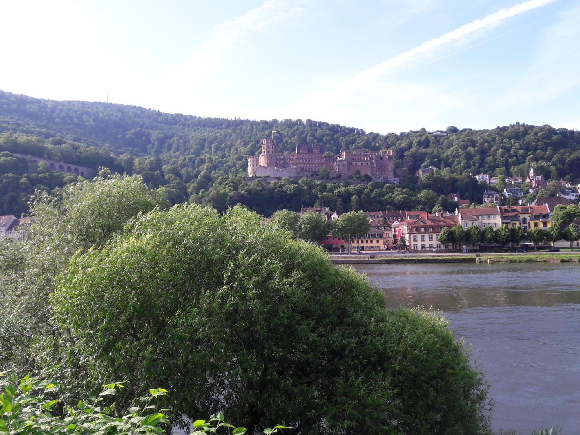 Ferienwohnung Neckarblick Хайдельберг Экстерьер фото