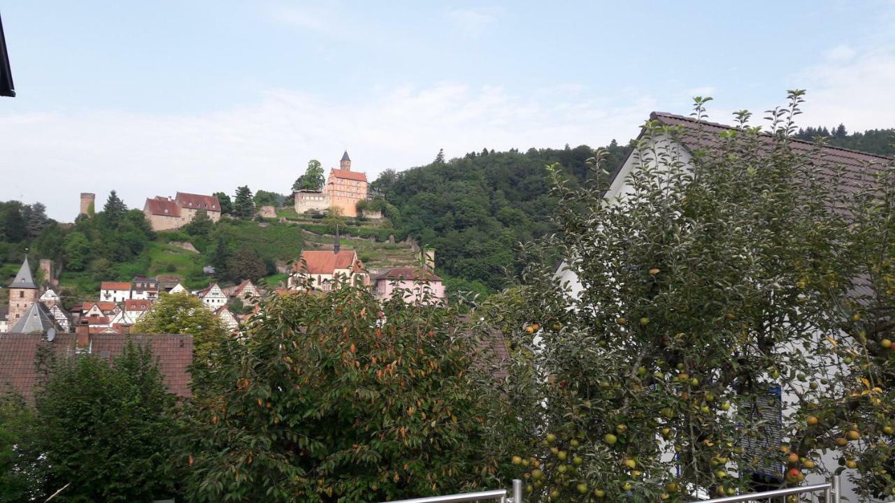 Ferienwohnung Neckarblick Хайдельберг Экстерьер фото