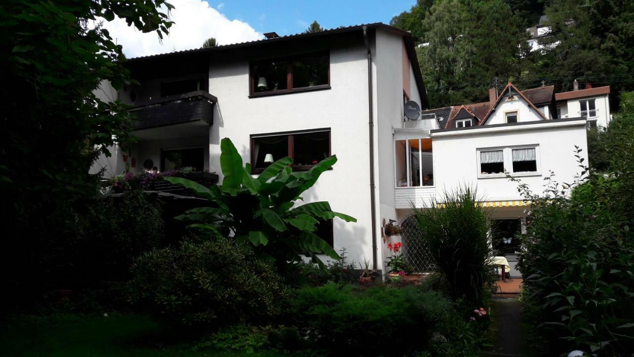 Ferienwohnung Neckarblick Хайдельберг Экстерьер фото