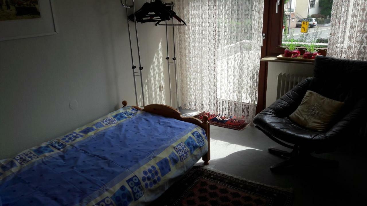Ferienwohnung Neckarblick Хайдельберг Экстерьер фото